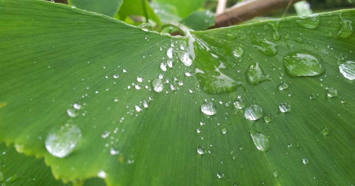 Featured: Solo Female Travel Safety: Real Talk from 50+ Countries